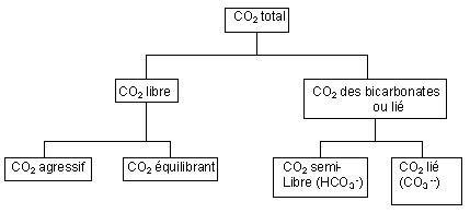 CO2_orga